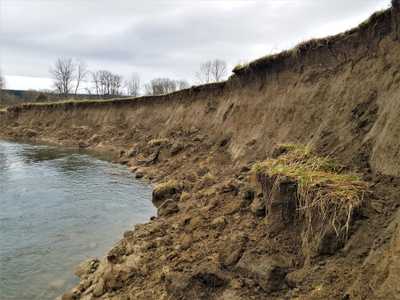 Fall City Floodplain Restoration Project