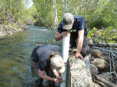Naneum/Wilson/Cherry Watershed Assessment