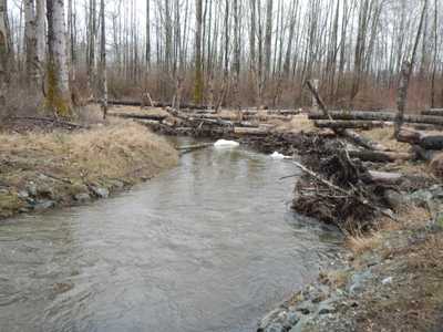 Squalicum Creek Channel Relocation and Modeling