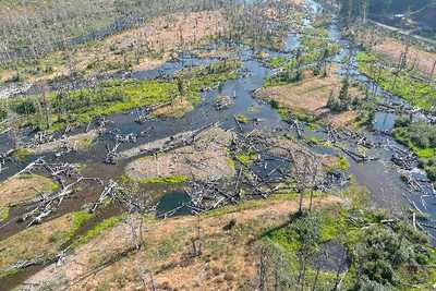 Monitoring Valley Reset Restoration on the McKenzie River and Quartz Creek