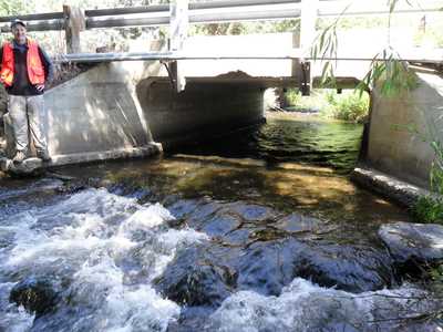 Kittitas Highway Fish Passage Culvert and Bridge Hydraulic Design