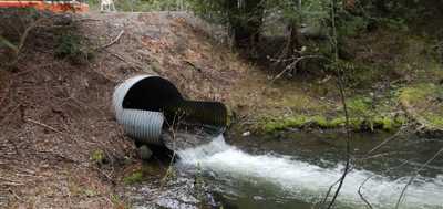 Via Kachess Road Fish Passage Culvert Design