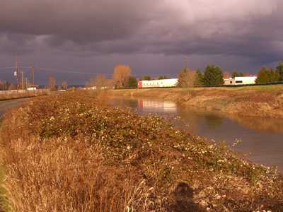 Tukwila South Development