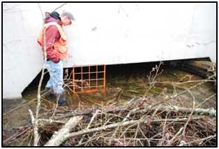 Filbert Creek Sediment Impact Investigation and Channel Redesign